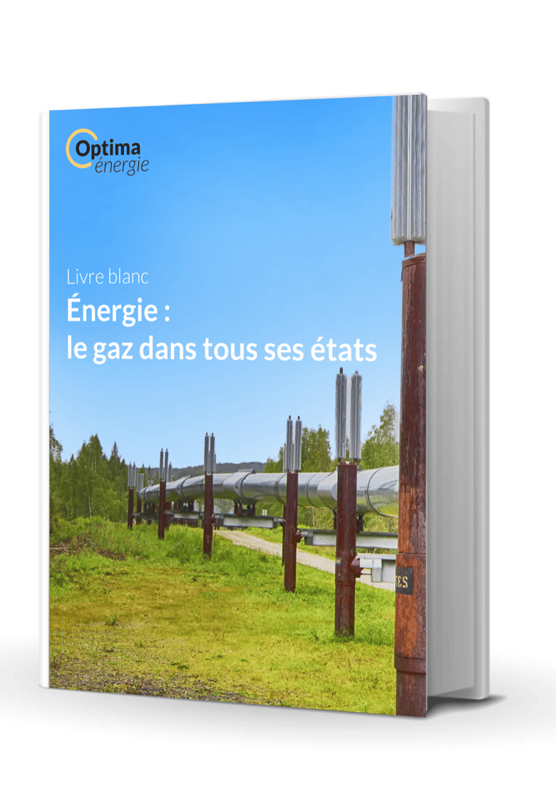 Visuel livre blanc gaz fonctionnement Visuel livre blanc gaz fonctionnement
